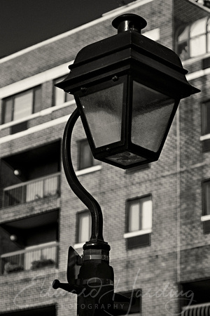 Portrait of a Street Lamp