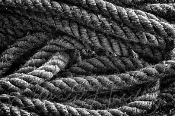 117/365 Old Rope